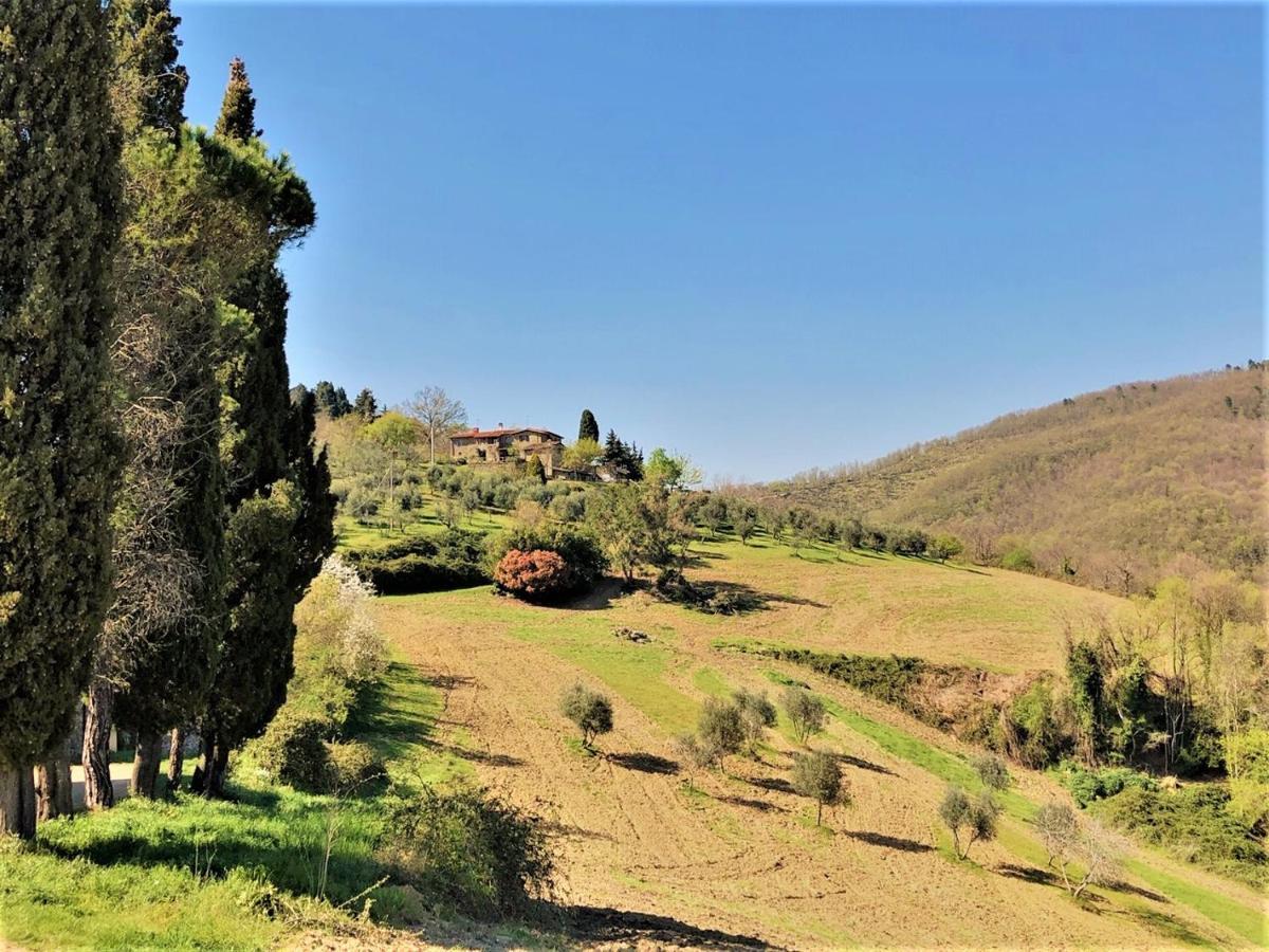 Agriturismo La Sala Greve in Chianti Exteriér fotografie